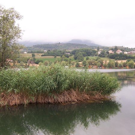 Camping La Motte Flottante 拉弗莱西诺斯 外观 照片