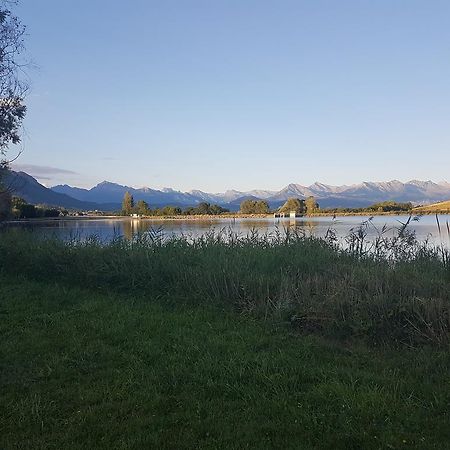 Camping La Motte Flottante 拉弗莱西诺斯 外观 照片