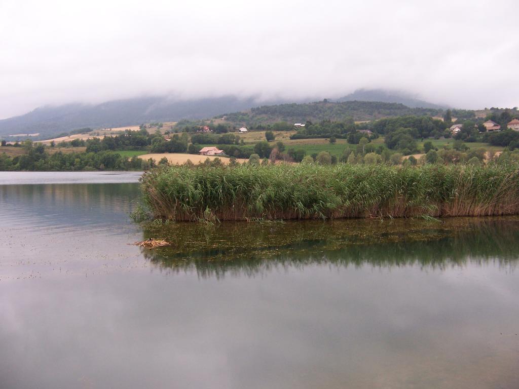Camping La Motte Flottante 拉弗莱西诺斯 外观 照片