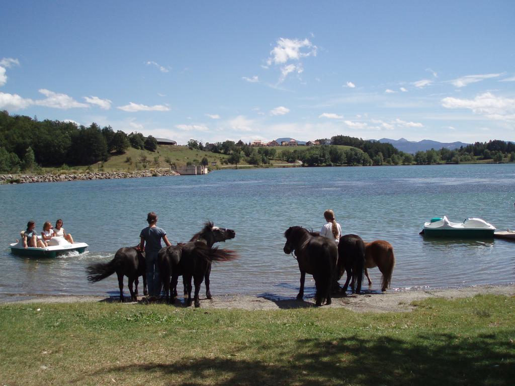 Camping La Motte Flottante 拉弗莱西诺斯 外观 照片
