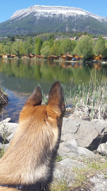 Camping La Motte Flottante 拉弗莱西诺斯 外观 照片